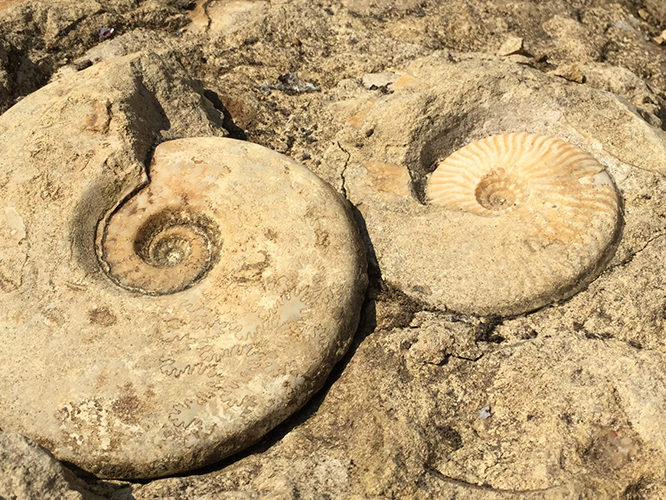 DiscoverBeaminster_HornParkQuarry