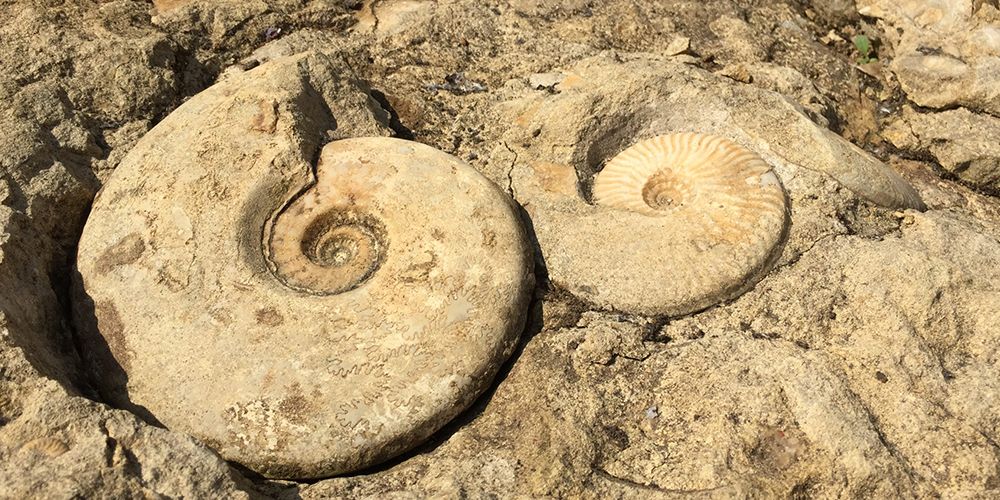 DiscoverBeaminster_HornParkQuarry