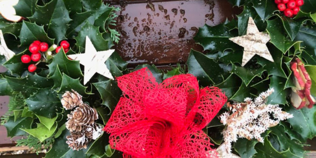 DiscoverBeaminster_LittleGroves_1000x500