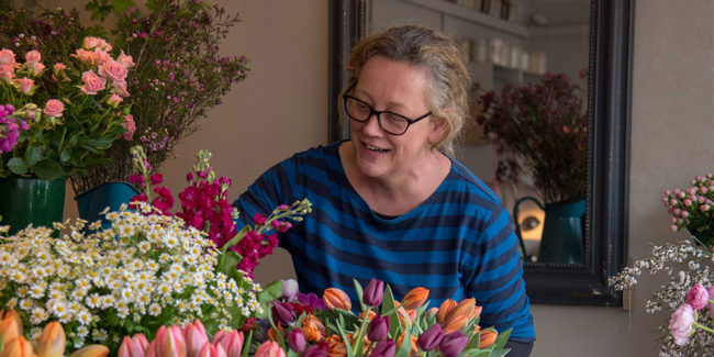 DiscoverBeaminster_RamblingRose