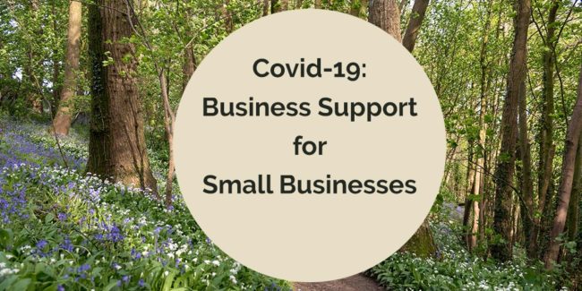 BusinessSupport_1000x500