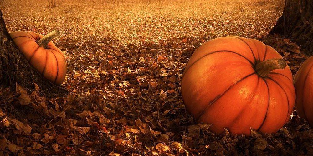 Halloween_Beaminster