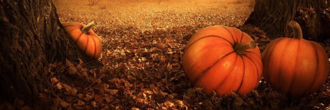 Halloween_Beaminster