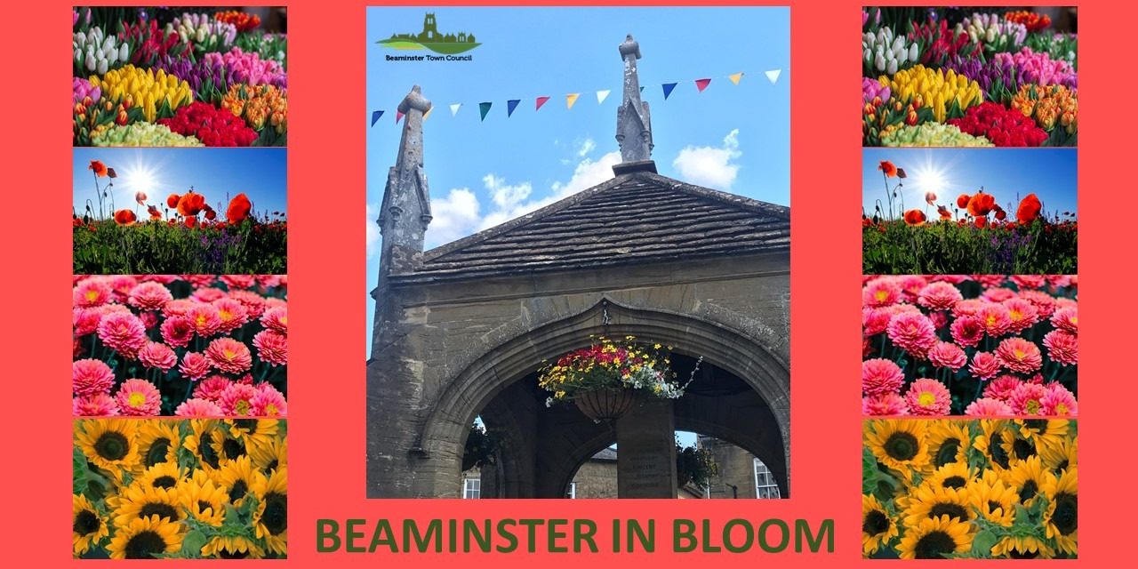 Beaminster in bloom 6