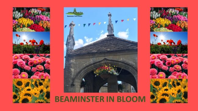 Beaminster in bloom 6