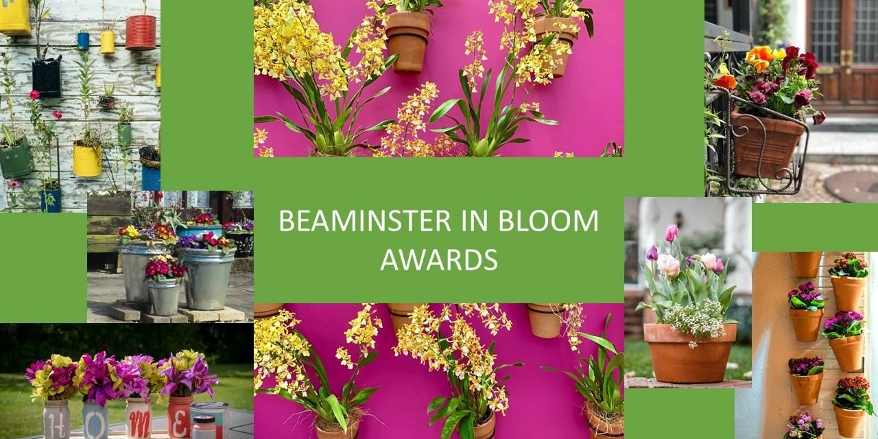 Beaminster-in-bloom-awards