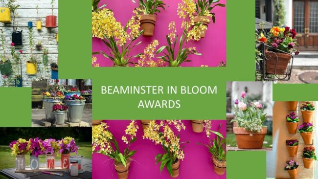 Beaminster-in-bloom-awards
